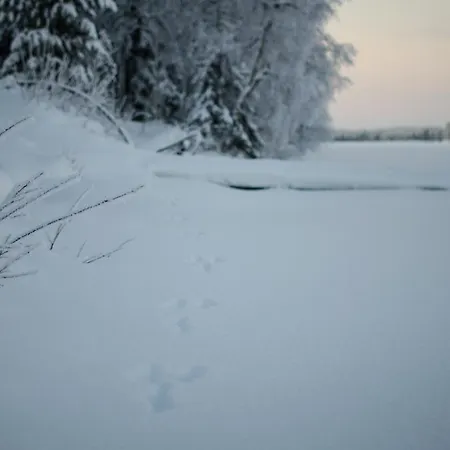 Saenkelae 펜션 Lämsä