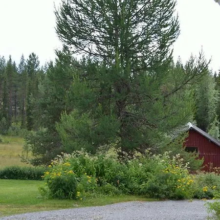 Saenkelae * Lämsä
