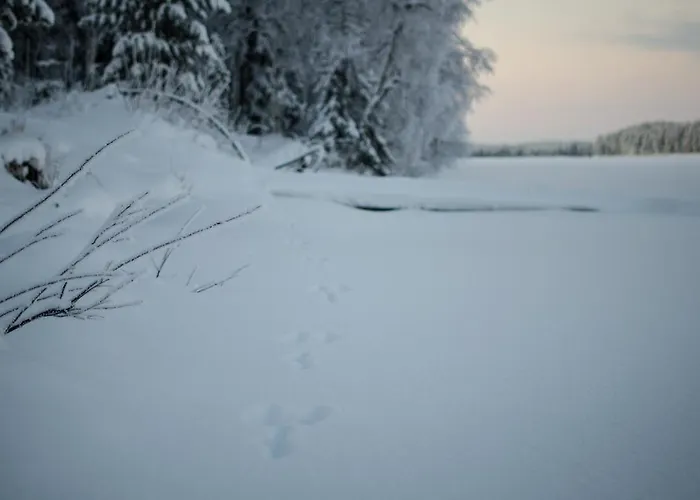 Saenkelae Tatil Evi Lämsä