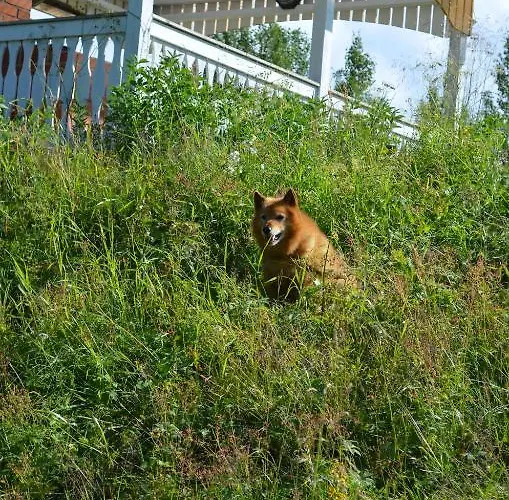 Сasa de vacaciones Saenkelae